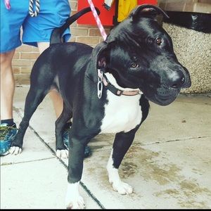 Meet your Posher, Kyle